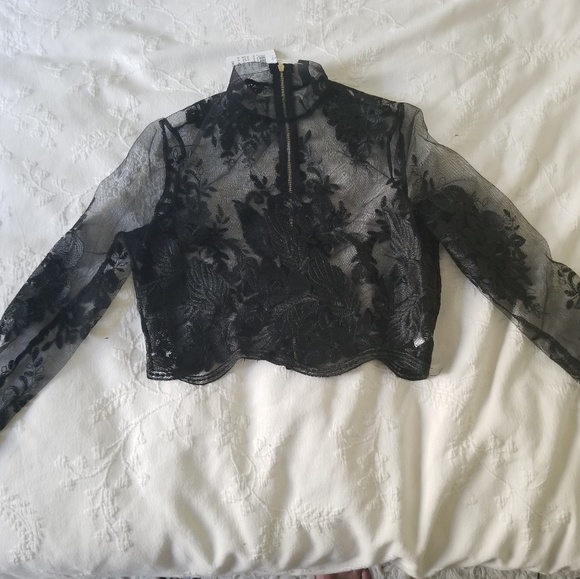 WINDSOR Lace Crop Top - Picture 3 of 3